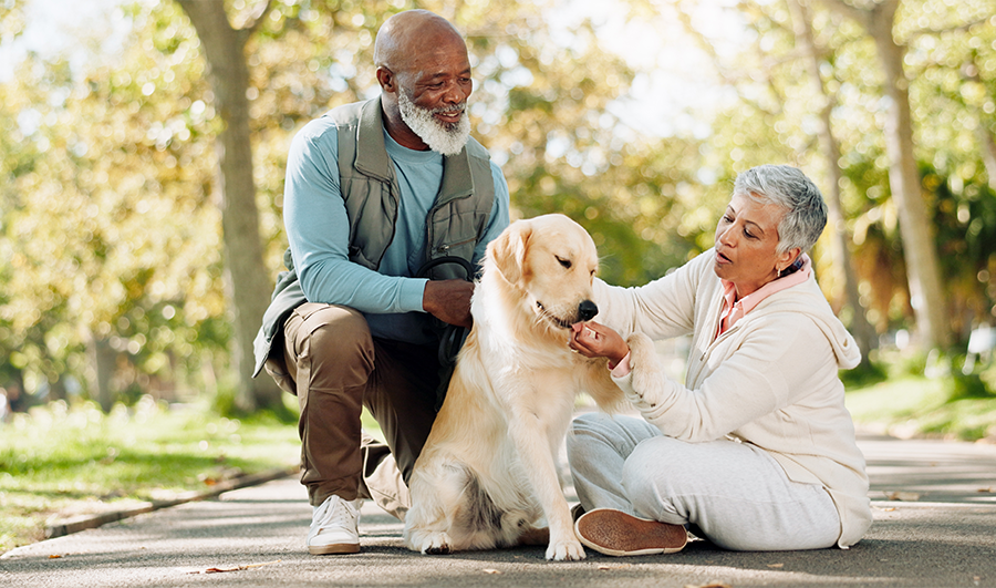 Black older couple kneeling down by dog in park